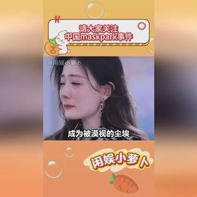 maskpark事件,科技巨头隐私争议背后的真相